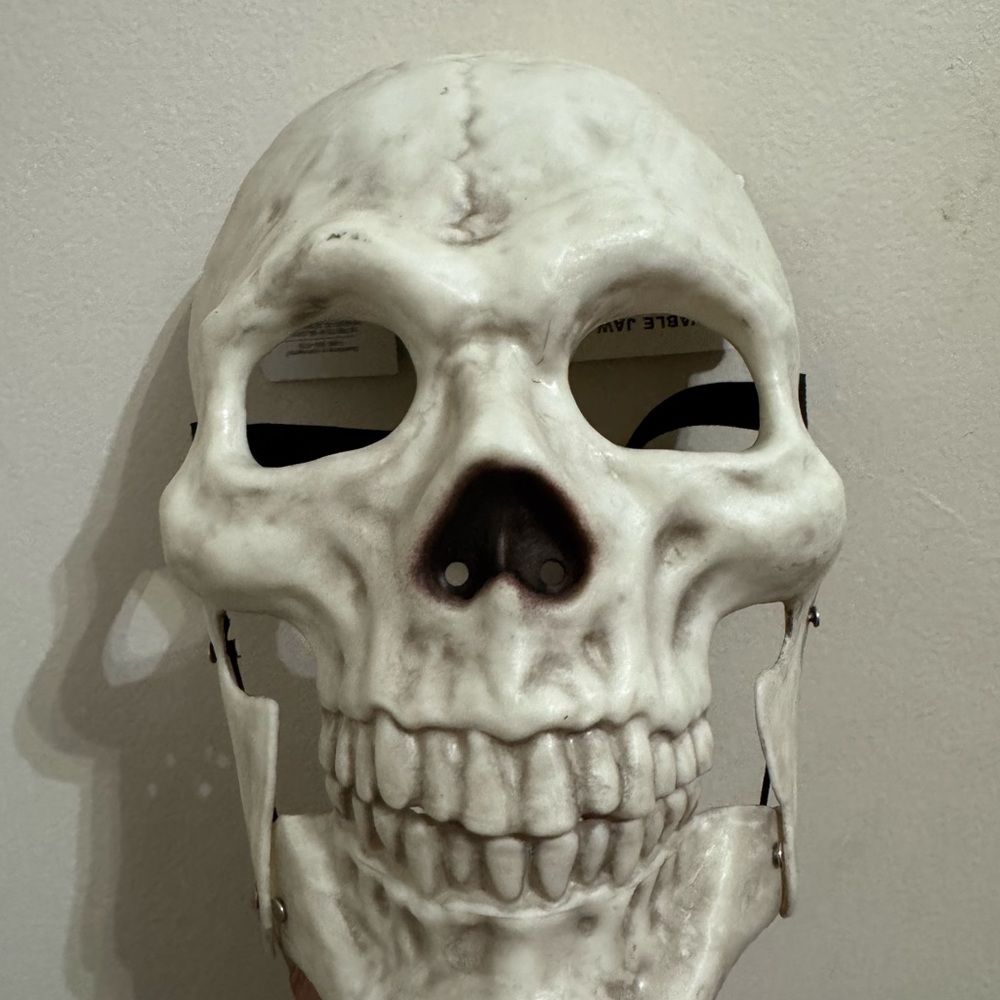 Halloween Adult White Skull Mask